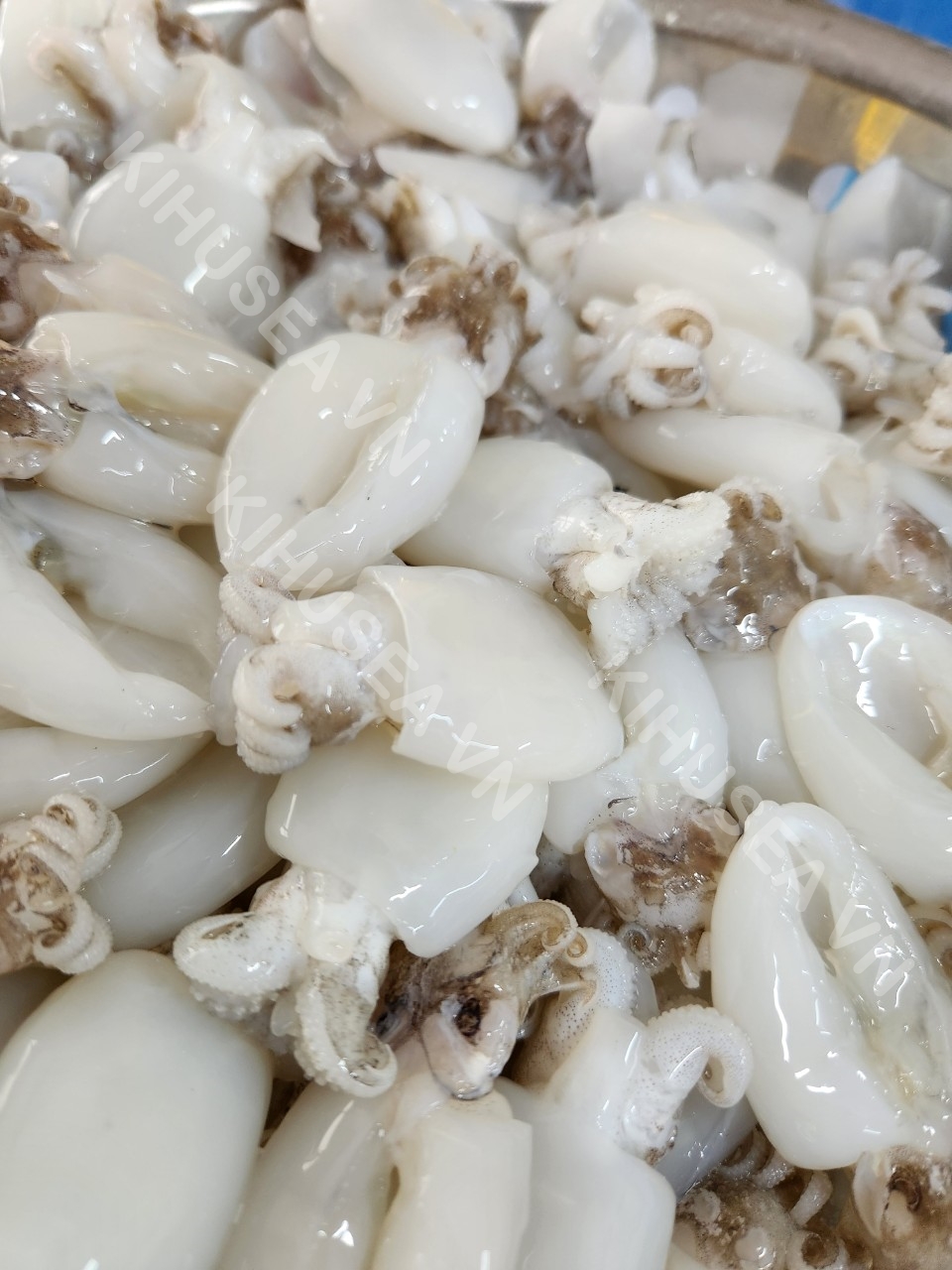 Mực nang,nút nguyên con làm sạch